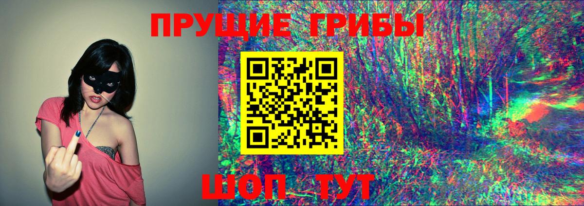 Галлюциногенные грибы Psilocybe Нижнеудинск