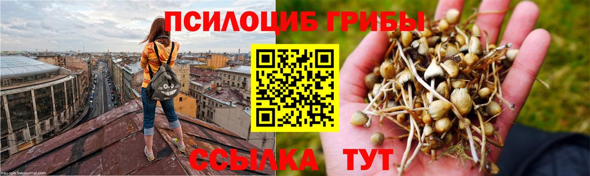 Галлюциногенные грибы Magic Shrooms  Вход с VPN  Галлюциногенные грибы прущие грибы  Нижнеудинск 
